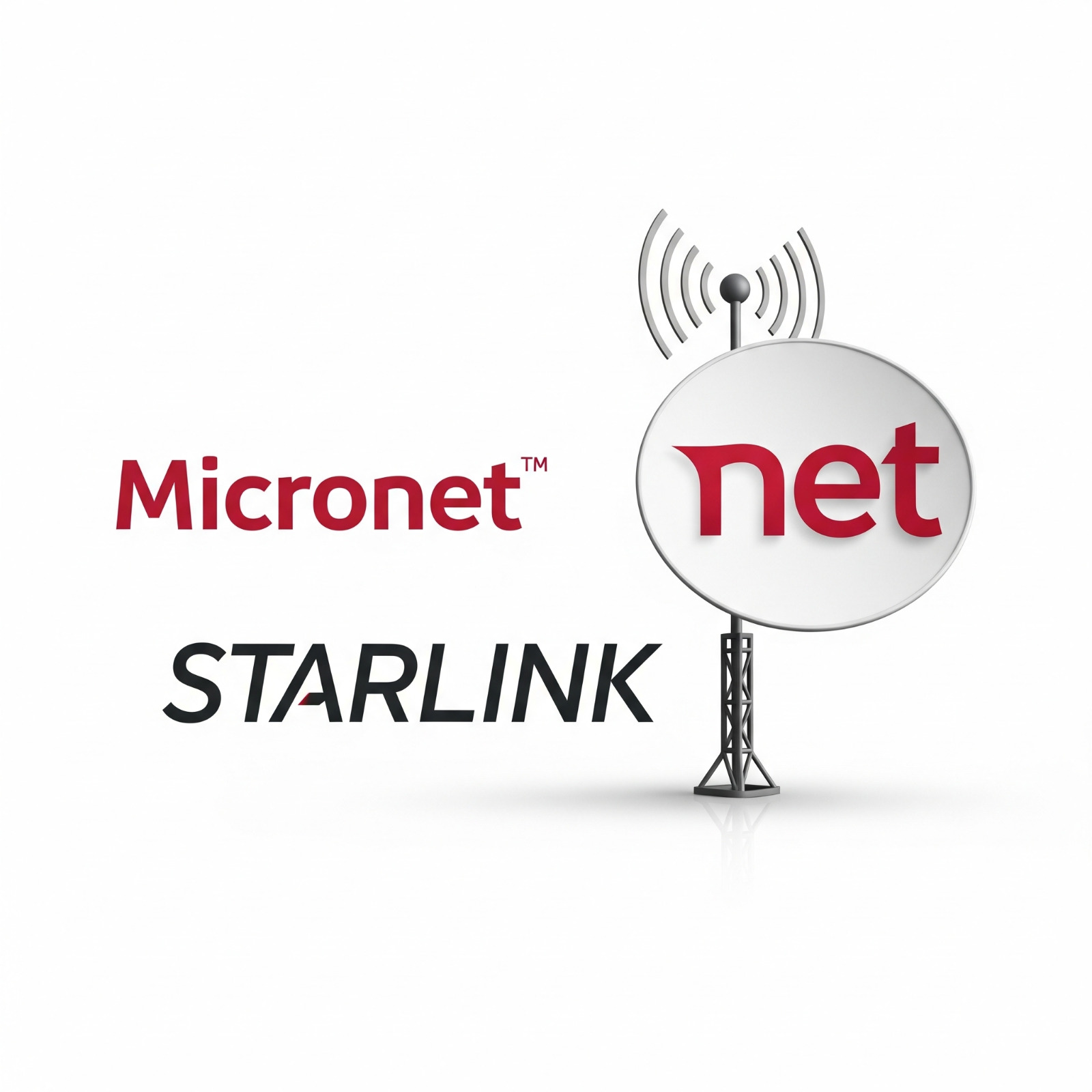 Micronet
